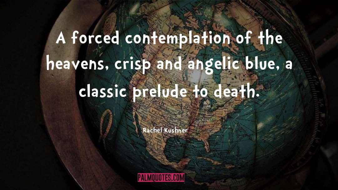 Rachel Kushner Quotes: A forced contemplation of the