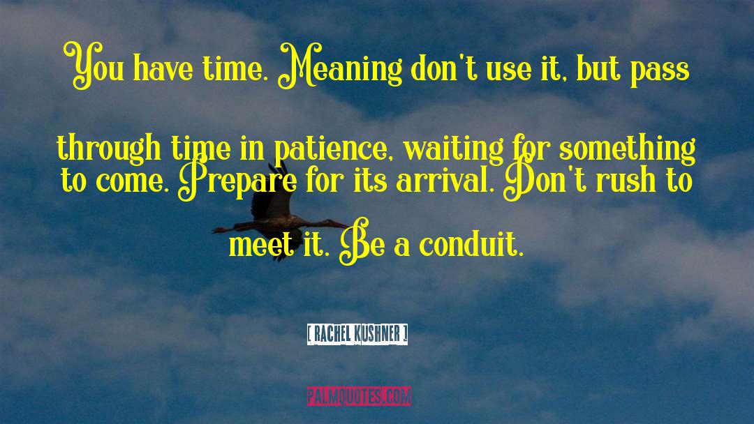 Rachel Kushner Quotes: You have time. Meaning don't
