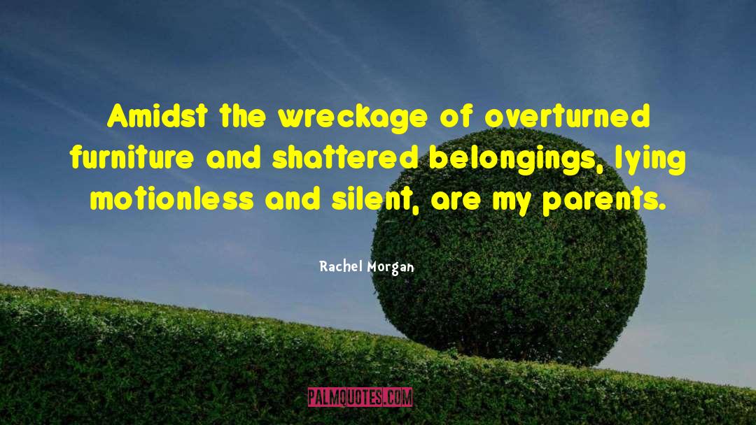 Rachel Morgan Quotes: Amidst the wreckage of overturned