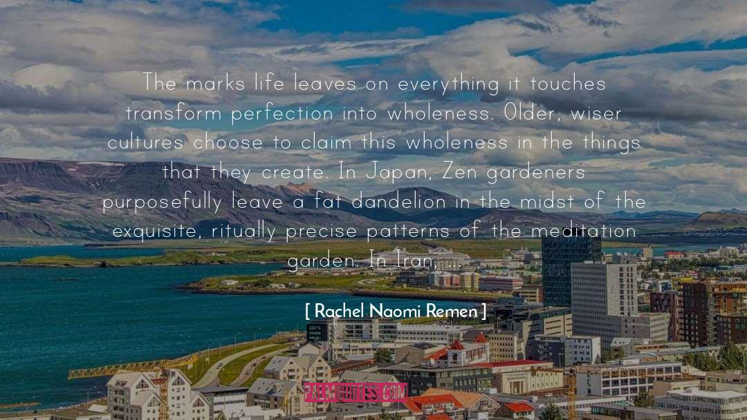 Rachel Naomi Remen Quotes: The marks life leaves on