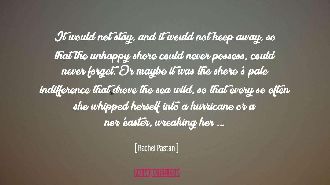 Rachel Pastan Quotes: It would not stay, and