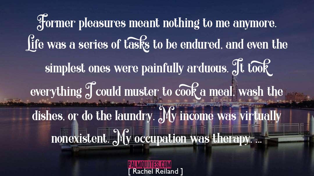 Rachel Reiland Quotes: Former pleasures meant nothing to