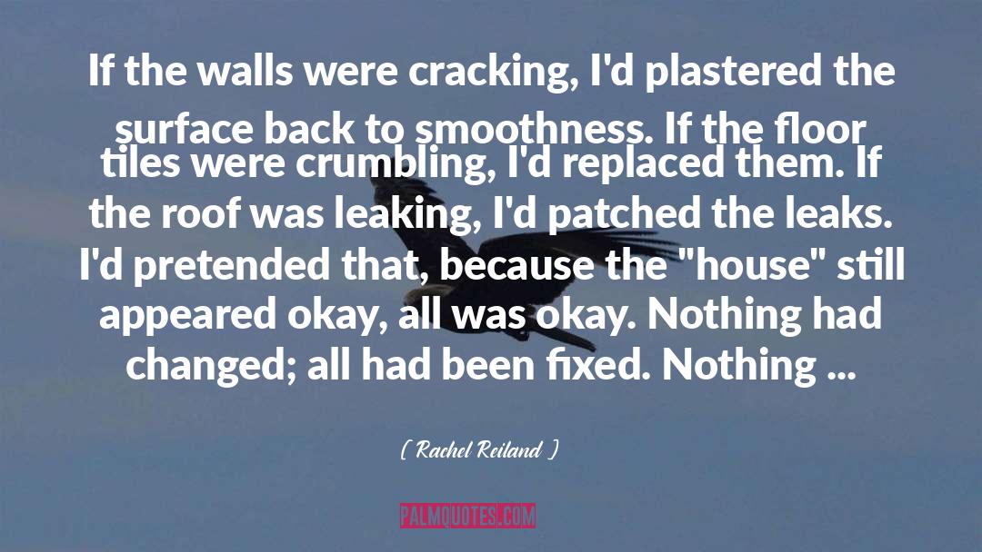 Rachel Reiland Quotes: If the walls were cracking,