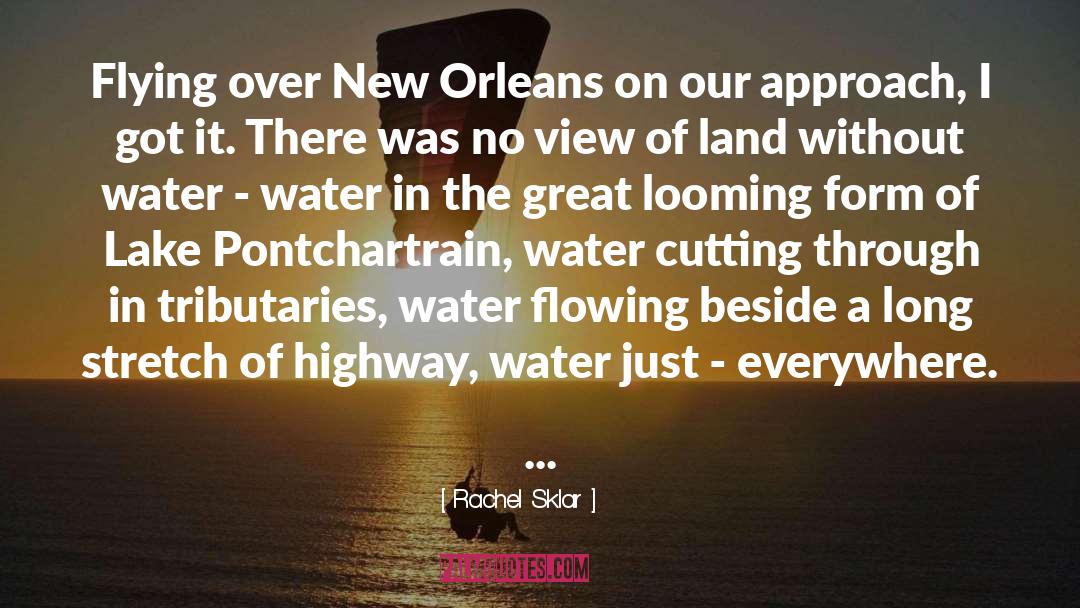 Rachel Sklar Quotes: Flying over New Orleans on