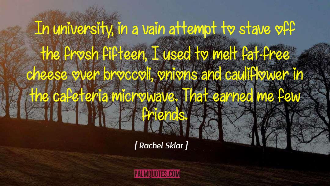 Rachel Sklar Quotes: In university, in a vain