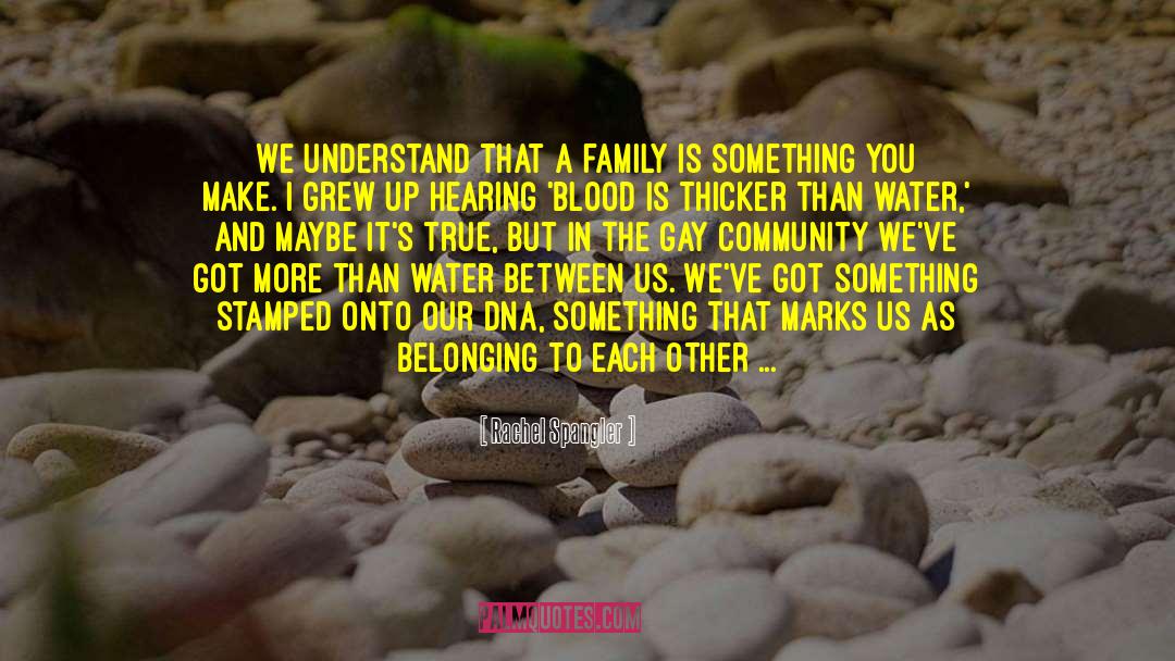 Rachel Spangler Quotes: We understand that a family