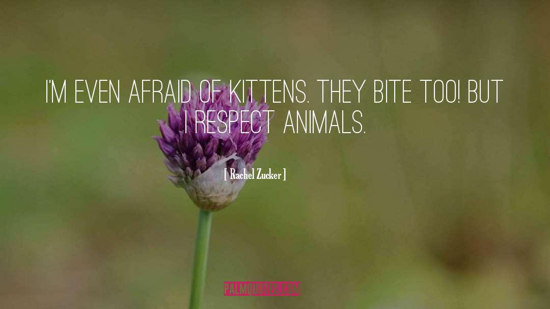 Rachel Zucker Quotes: I'm even afraid of kittens.