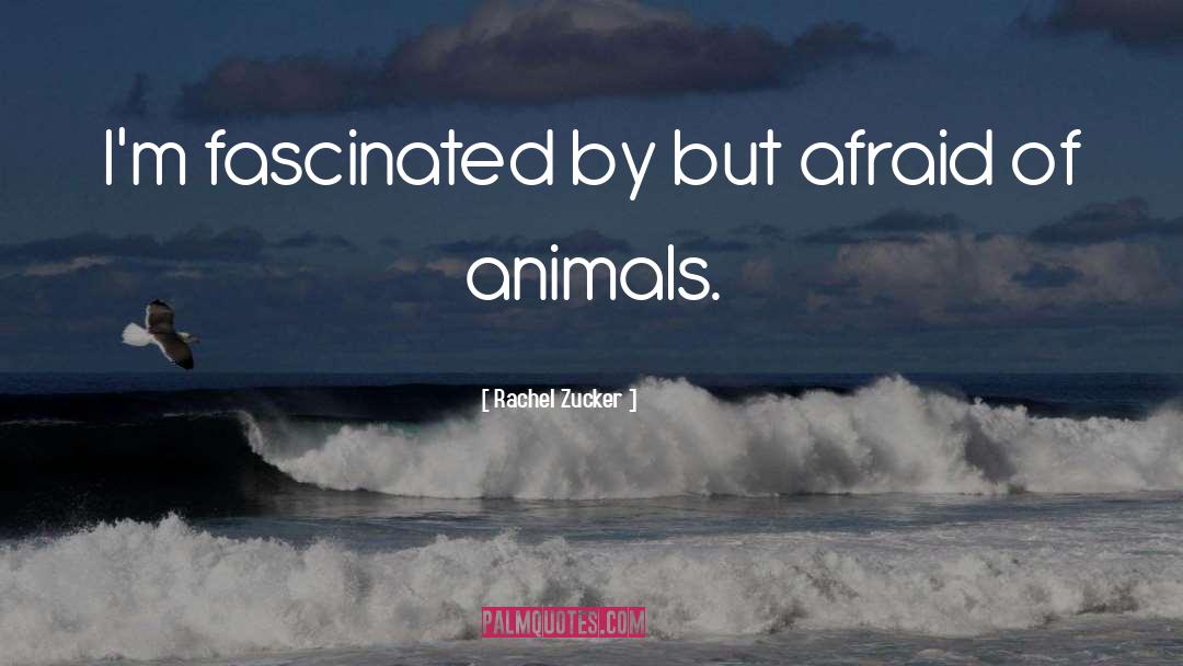 Rachel Zucker Quotes: I'm fascinated by but afraid