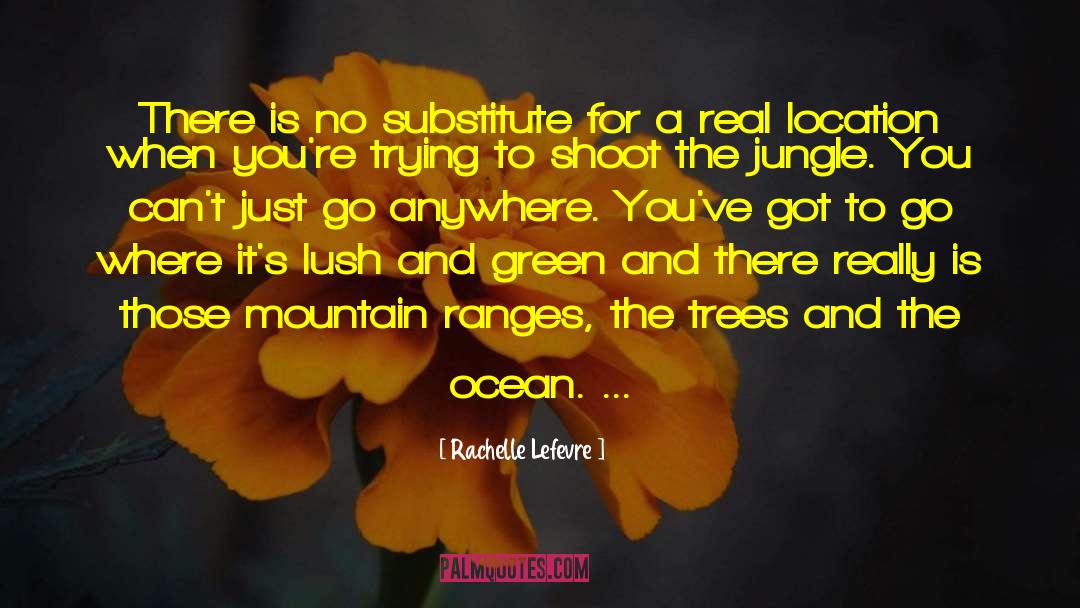 Rachelle Lefevre Quotes: There is no substitute for