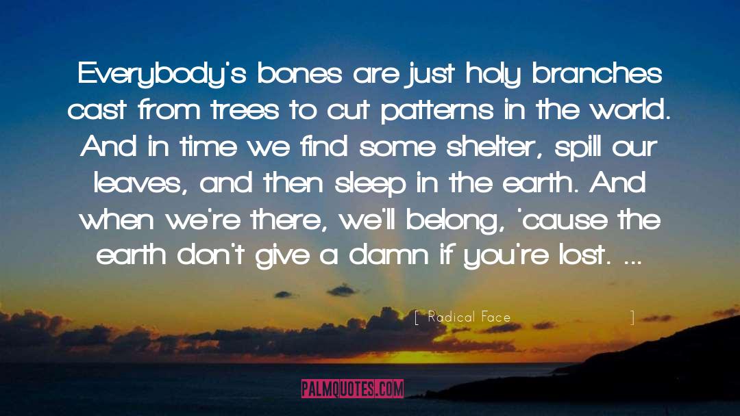 Radical Face Quotes: Everybody's bones are just holy