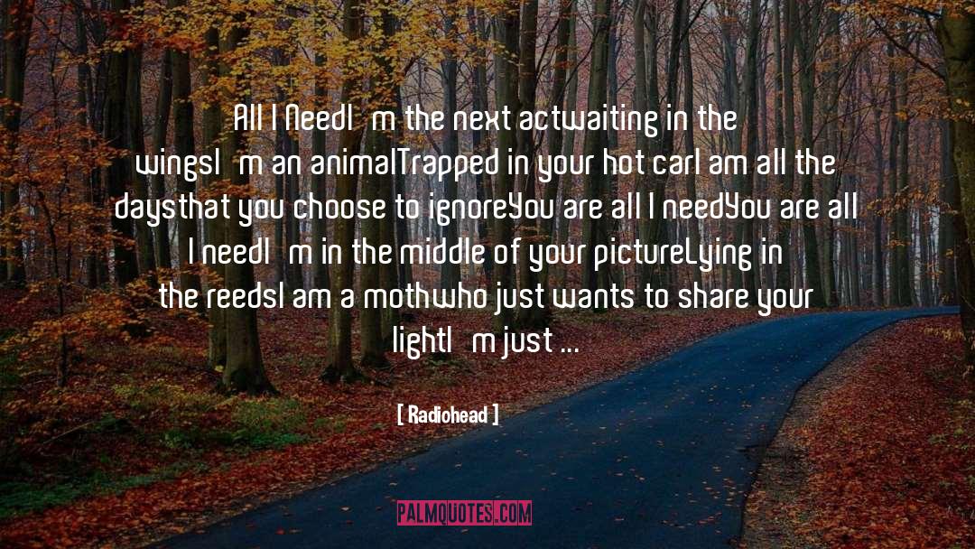 Radiohead Quotes: All I Need<br /><br />I'm