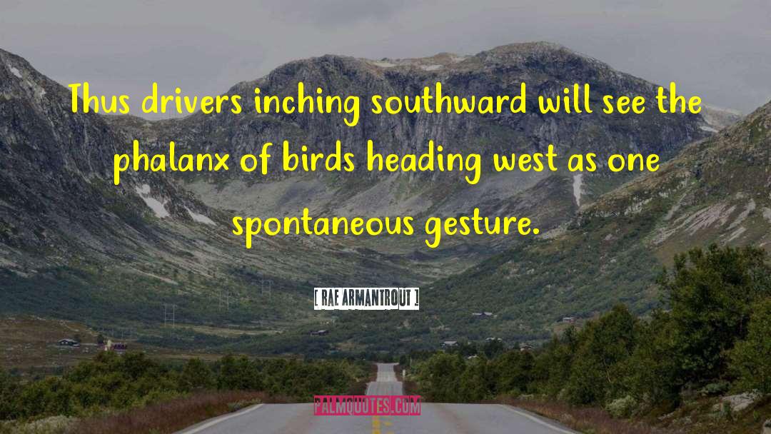 Rae Armantrout Quotes: Thus drivers inching southward will