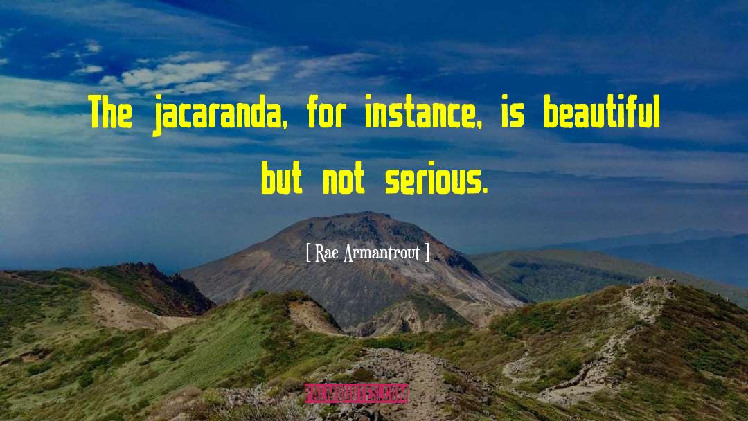 Rae Armantrout Quotes: The jacaranda, for instance, is