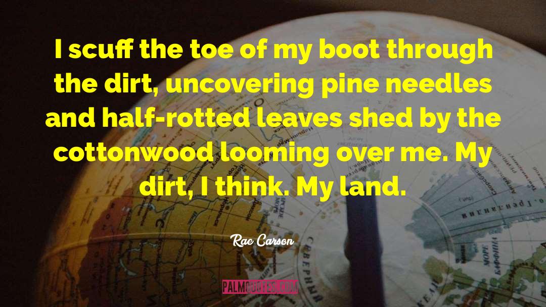 Rae Carson Quotes: I scuff the toe of