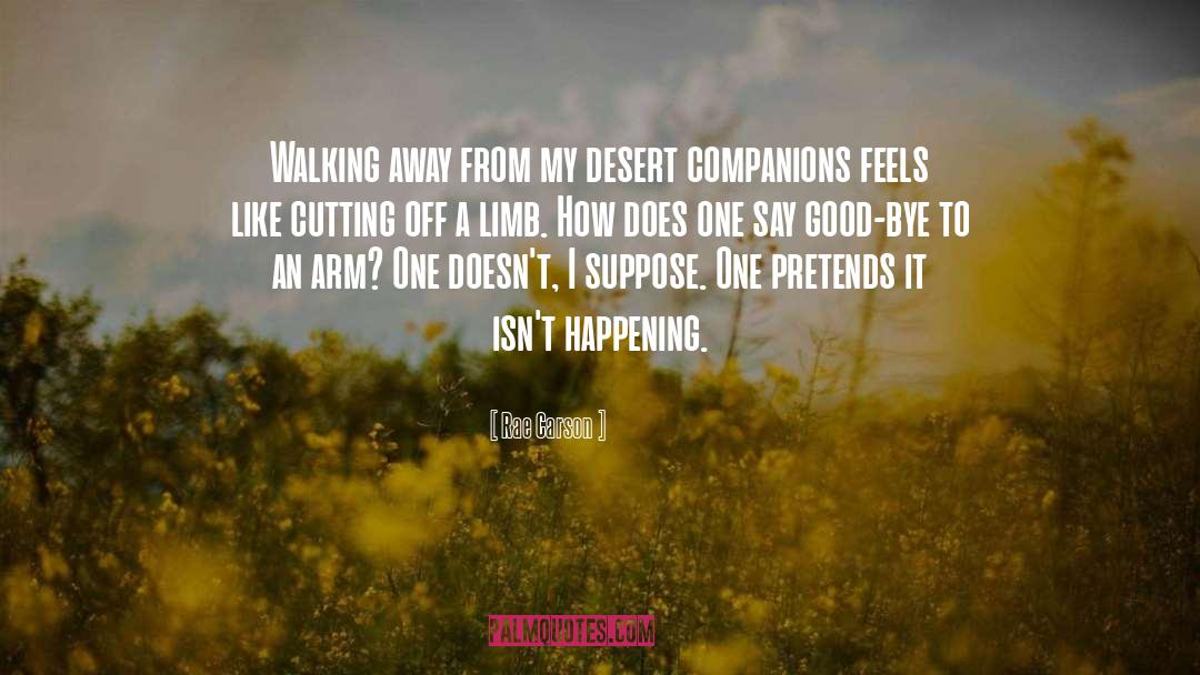 Rae Carson Quotes: Walking away from my desert