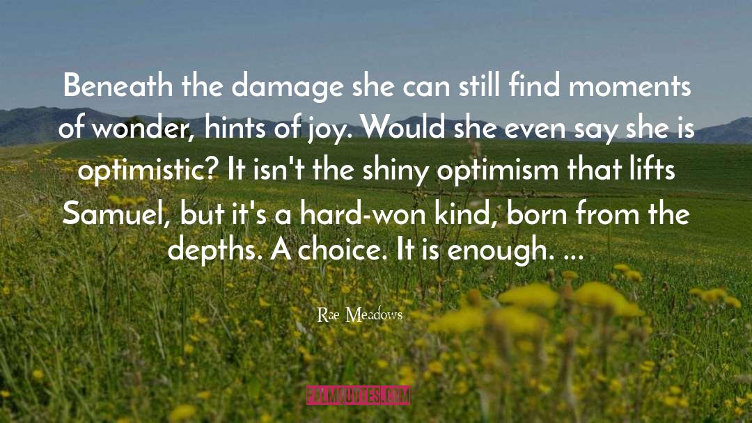 Rae Meadows Quotes: Beneath the damage she can