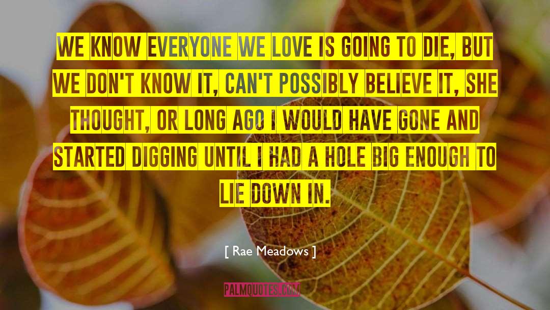 Rae Meadows Quotes: We know everyone we love