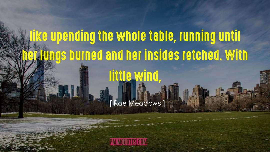 Rae Meadows Quotes: like upending the whole table,