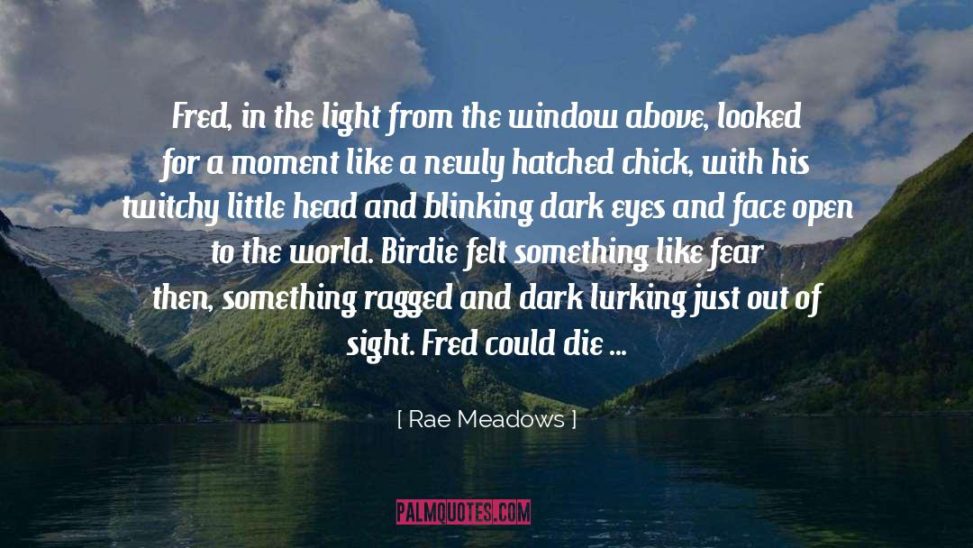 Rae Meadows Quotes: Fred, in the light from