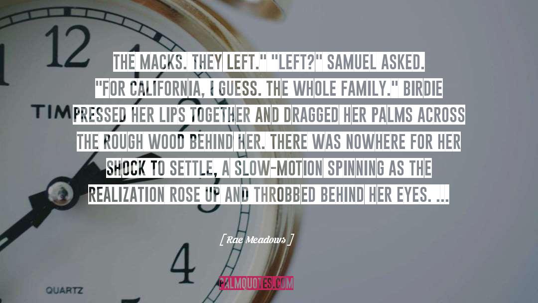 Rae Meadows Quotes: The Macks. They left.