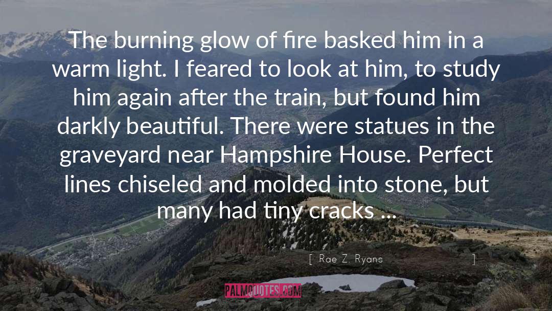 Rae Z. Ryans Quotes: The burning glow of fire