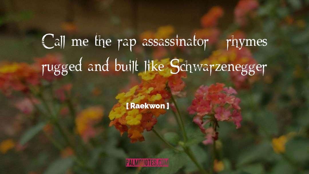 Raekwon Quotes: Call me the rap assassinator