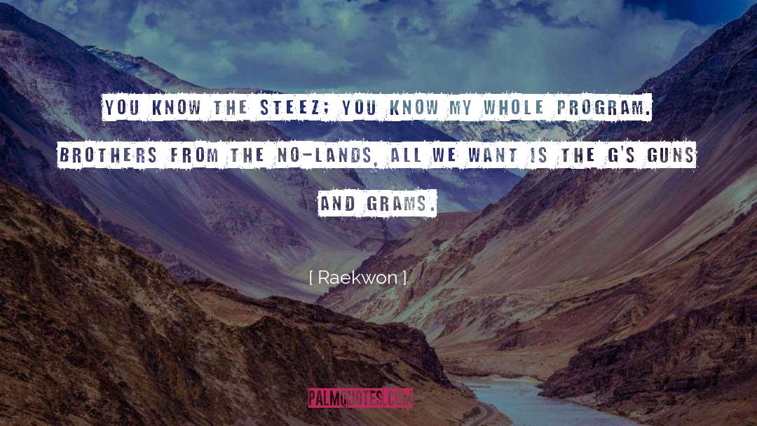 Raekwon Quotes: You know the steez; you
