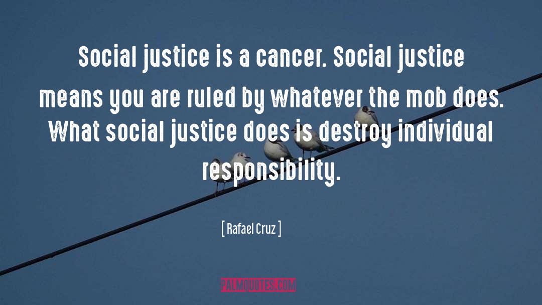 Rafael Cruz Quotes: Social justice is a cancer.