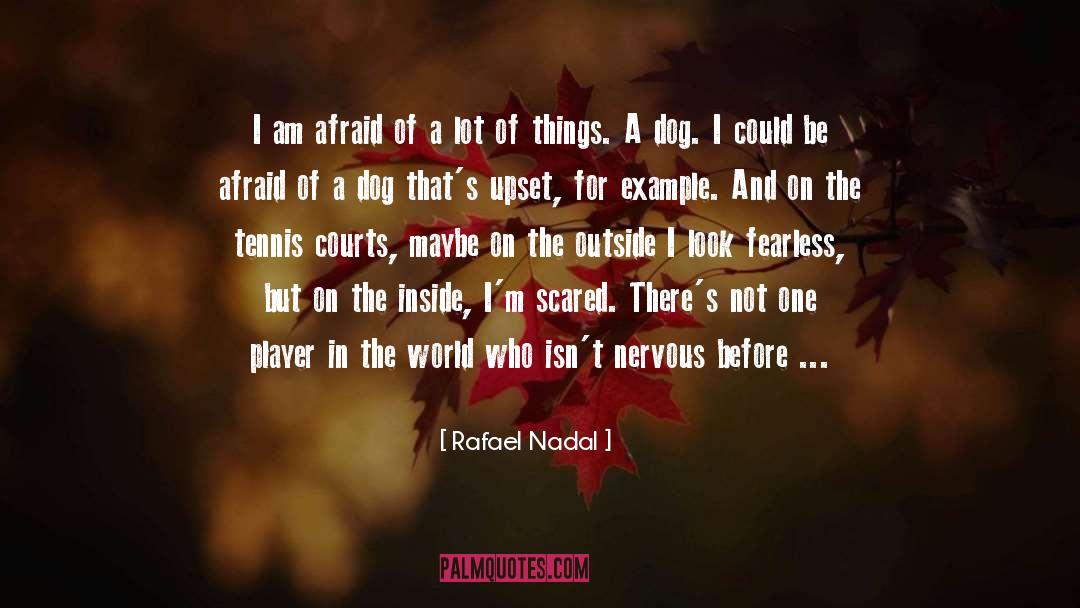 Rafael Nadal Quotes: I am afraid of a
