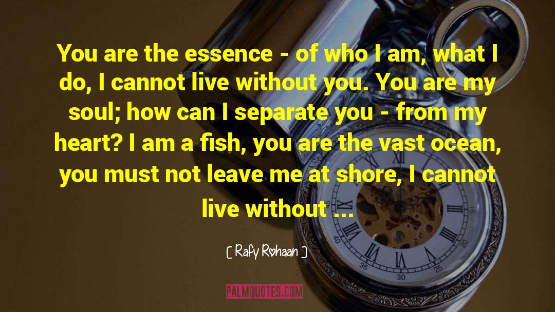 Rafy Rohaan Quotes: You are the essence -