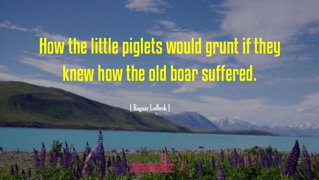 Ragnar Lodbrok Quotes: How the little piglets would