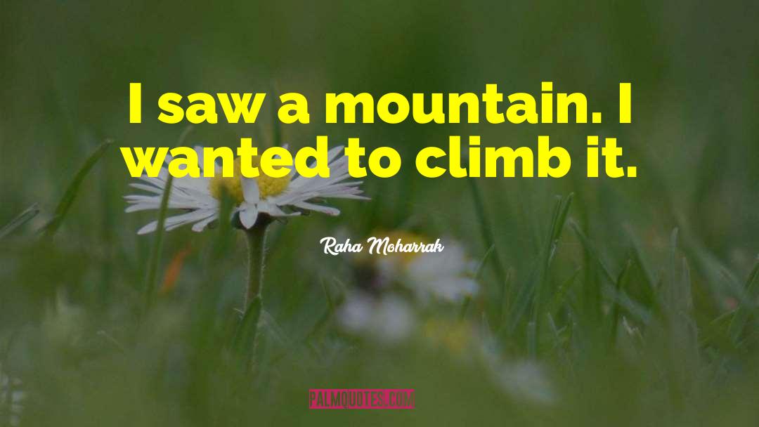 Raha Moharrak Quotes: I saw a mountain. I