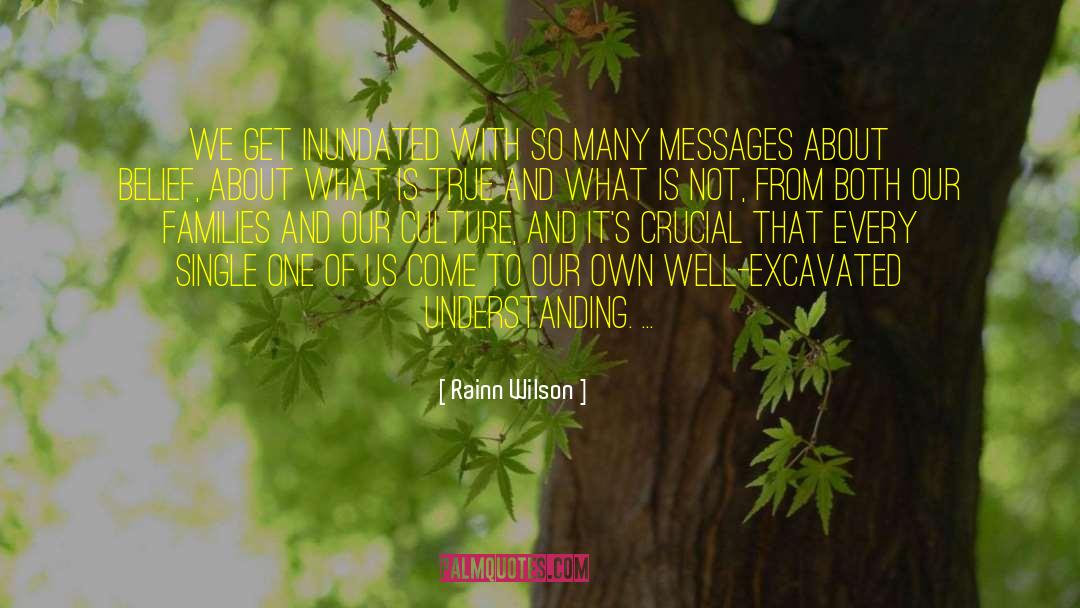 Rainn Wilson Quotes: We get inundated with so