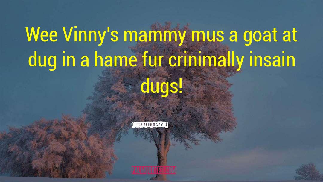 @Raiphsays Quotes: Wee Vinny's mammy mus a