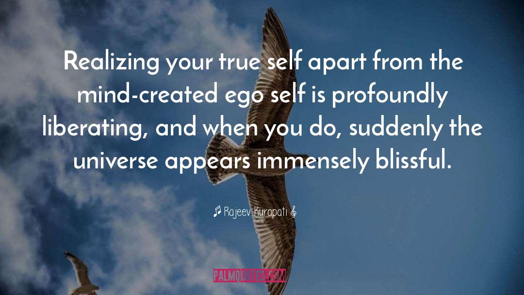 Rajeev Kurapati Quotes: Realizing your true self apart