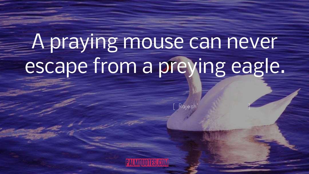 Rajesh` Quotes: A praying mouse can never