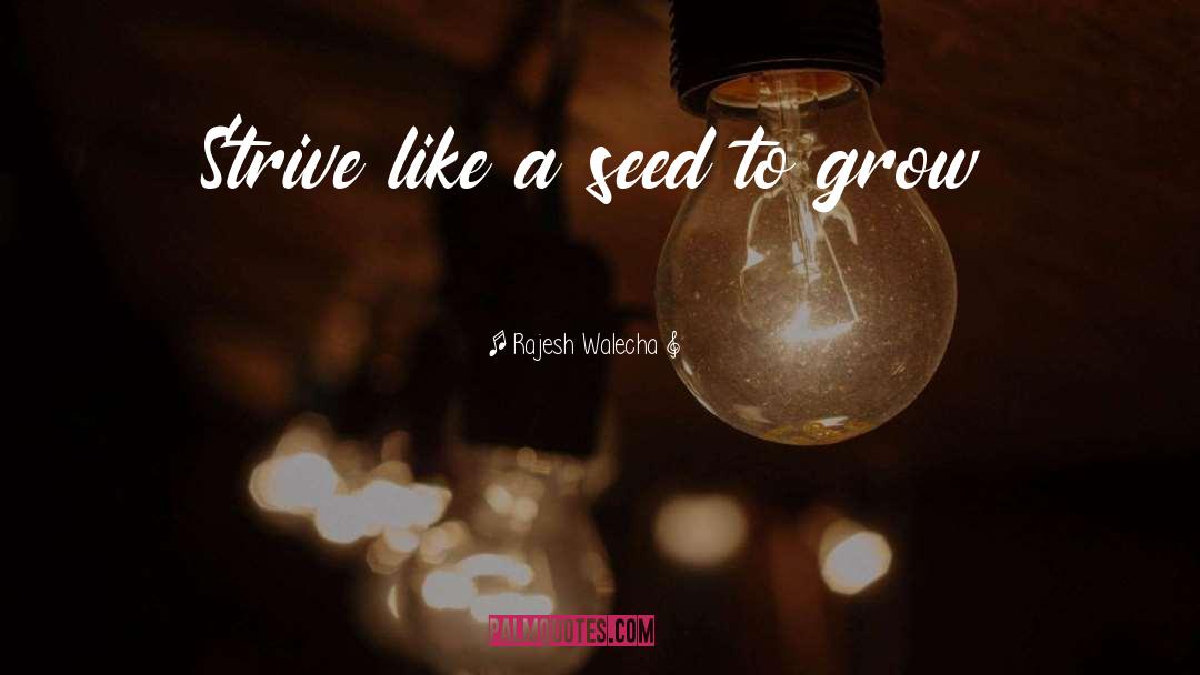 Rajesh Walecha Quotes: Strive like a seed to