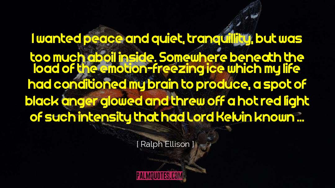 Ralph Ellison Quotes: I wanted peace and quiet,