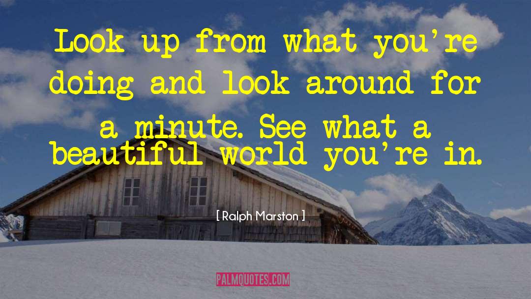 Ralph Marston Quotes: Look up from what you're
