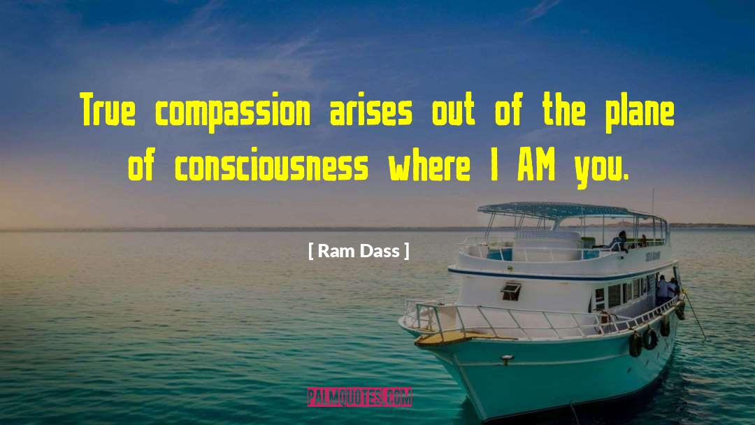 Ram Dass Quotes: True compassion arises out of