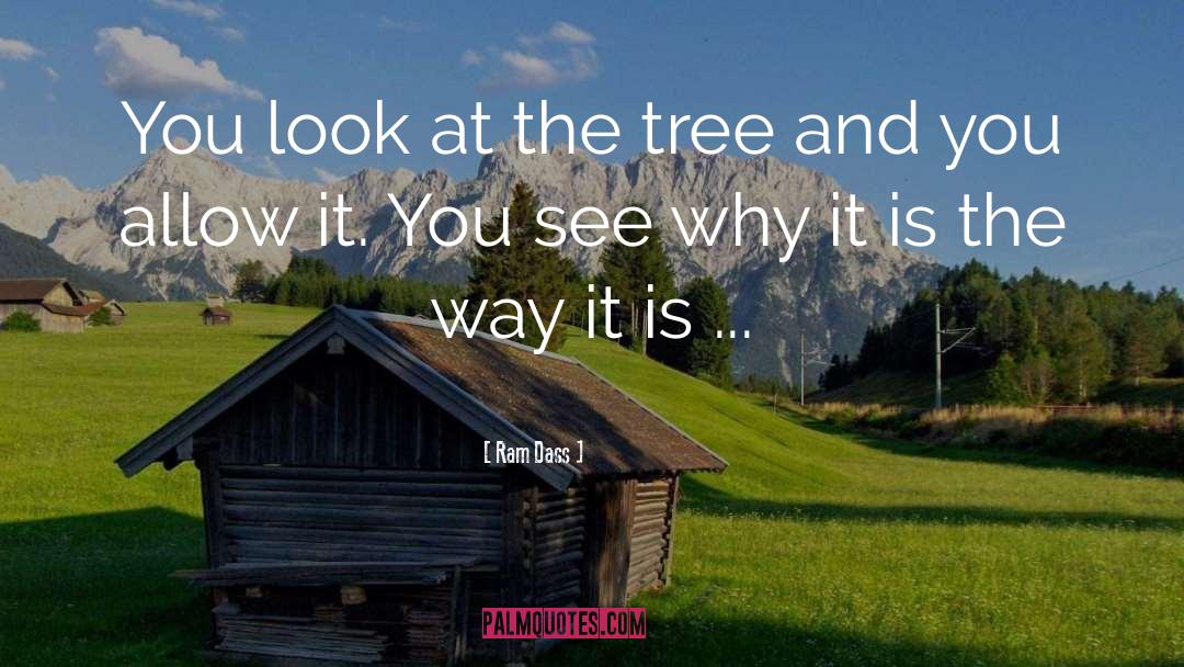 Ram Dass Quotes: You look at the tree