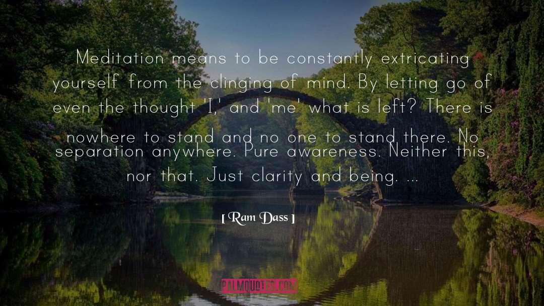 Ram Dass Quotes: Meditation means to be constantly