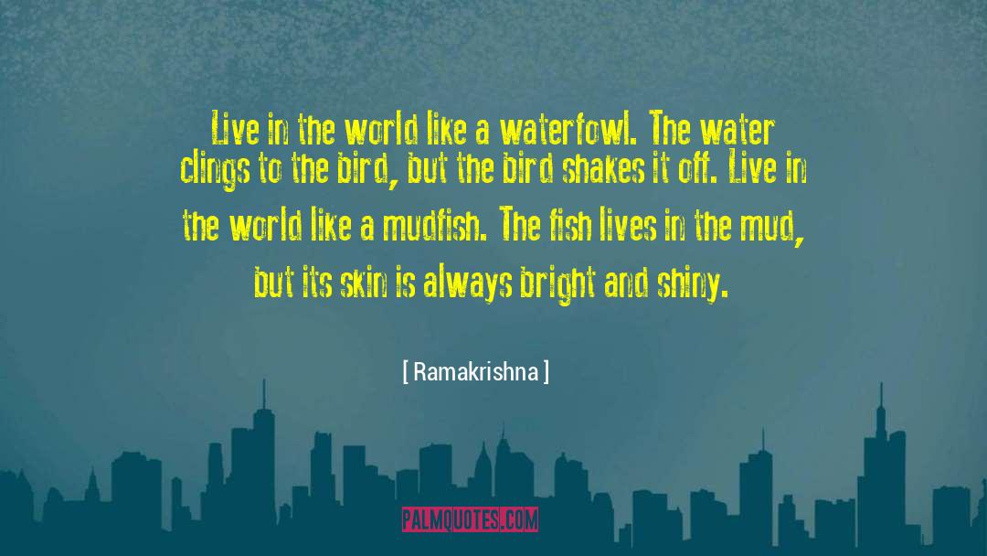 Ramakrishna Quotes: Live in the world like