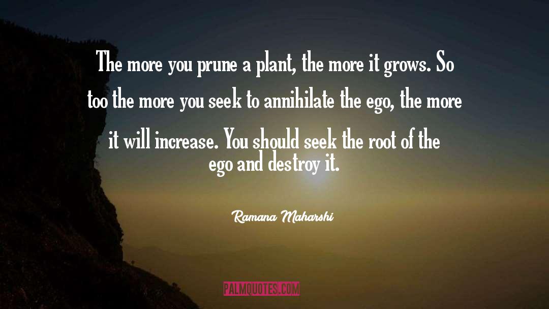 Ramana Maharshi Quotes: The more you prune a