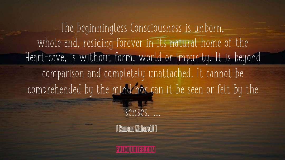 Ramana Maharshi Quotes: The beginningless Consciousness is unborn,