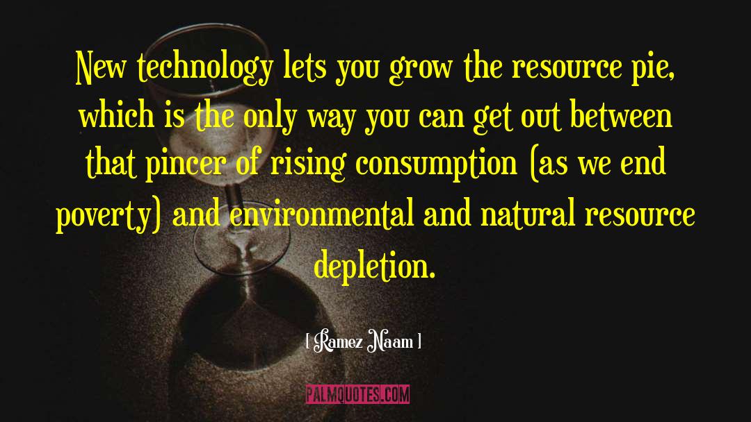 Ramez Naam Quotes: New technology lets you grow