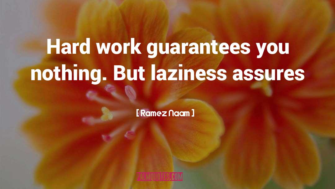 Ramez Naam Quotes: Hard work guarantees you nothing.