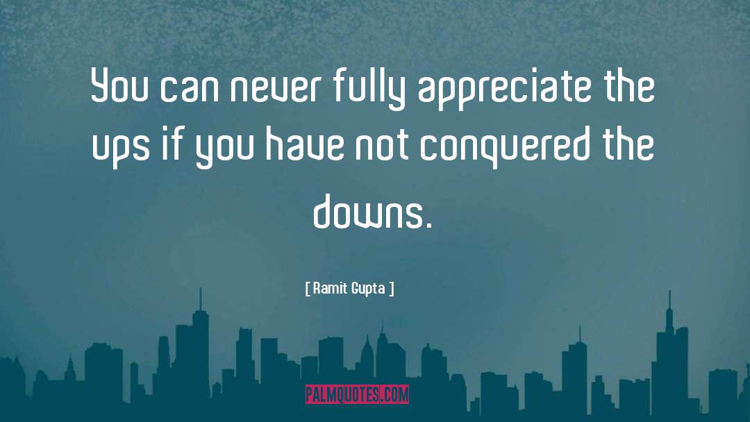 Ramit Gupta Quotes: You can never fully appreciate