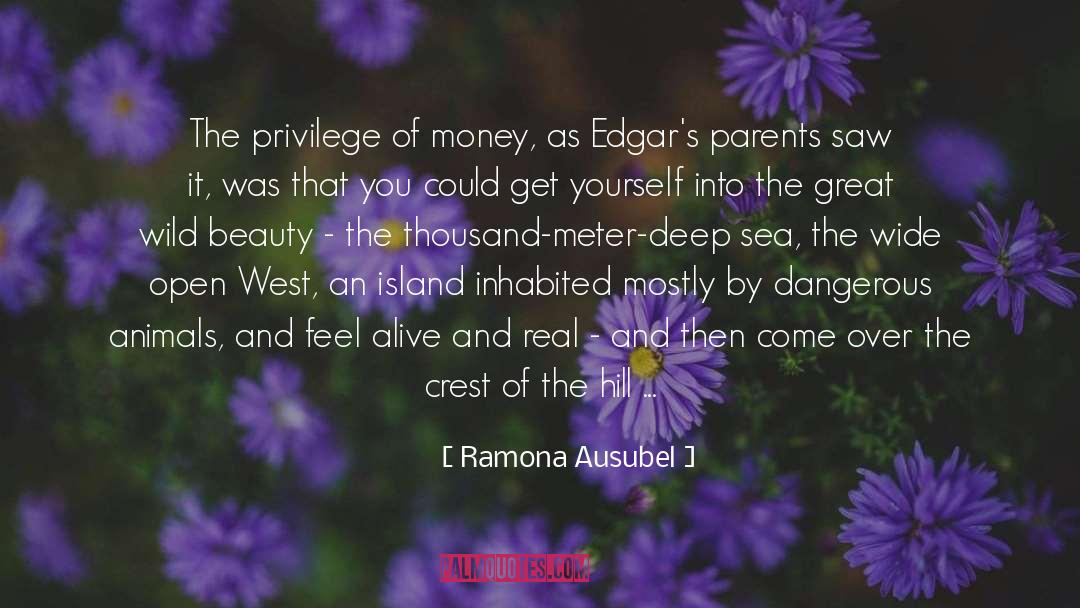 Ramona Ausubel Quotes: The privilege of money, as