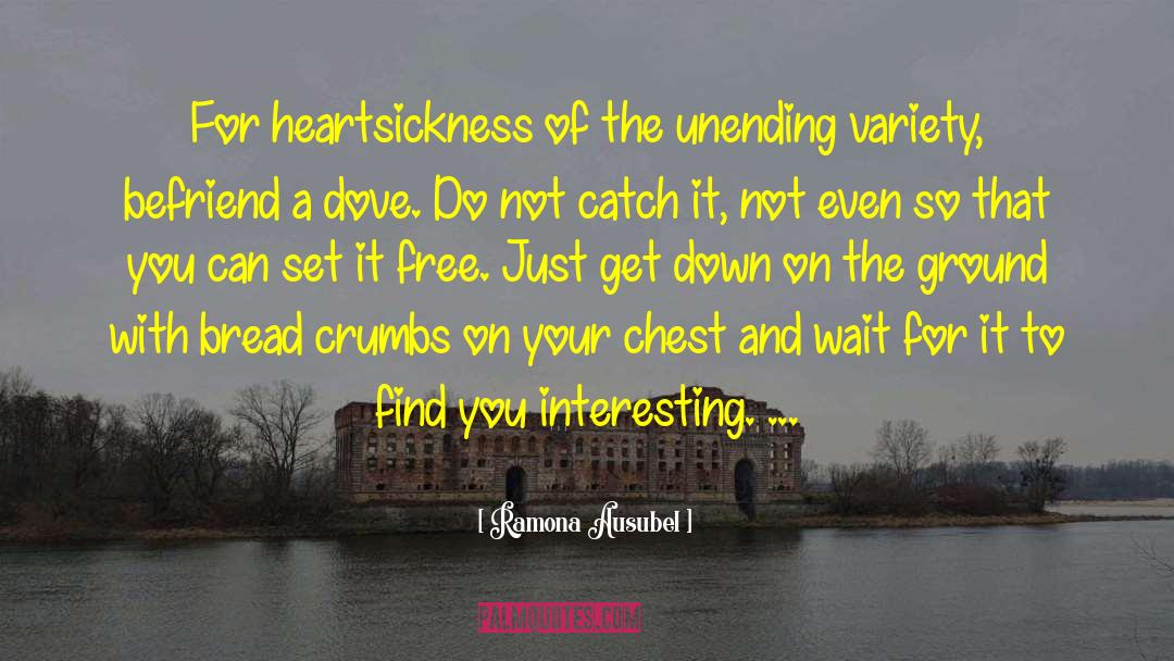 Ramona Ausubel Quotes: For heartsickness of the unending